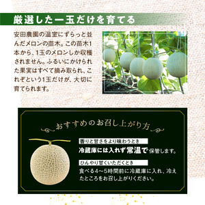 【頒布会】千葉アクアメロン1玉（1.4Kg）【4か月連続お届け】 mi0018-0005