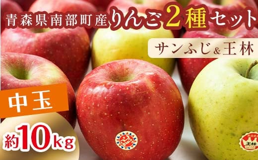 特 （中玉） 青森産 完熟 りんご 約10kg サンふじ 王林 2種セット 【誠果園】 青森りんご リンゴ 林檎 アップル あおもり 青森 青森県 南部町 三戸 南部 澁川賞受賞 果物 くだもの フル