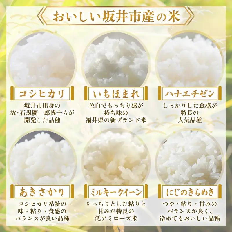 【令和7年産】 福井県のブランド米 いちほまれ 無洗米 2kg 人気 品種 ブランド米 特A  [A-6173]