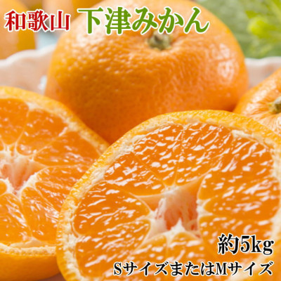 【産直】和歌山下津みかん約5kg(SサイズまたはMサイズのいずれかをお届け・秀品)(上富田町)