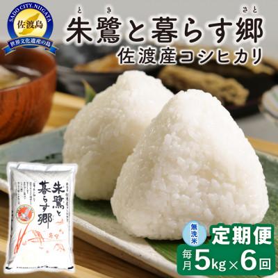 ふるさと納税 佐渡市 【毎月定期便】佐渡島産 朱鷺と暮らす郷(コシヒカリ) 無洗米5kg 特別栽培米全6回