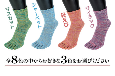 [5本指ソックス]「雅 (MIYABI)」くちゴムゆったりタイプ3足セット (23cmから25cm／S) [2993]