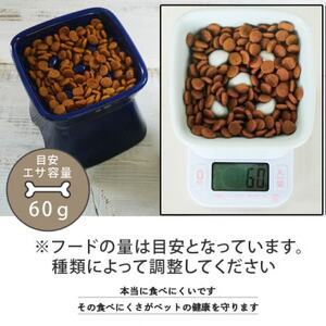 美濃焼　陶器製ペット用フードボウル【高台傾斜カラーフードボウル/イエロー】【pet166】【1443782】