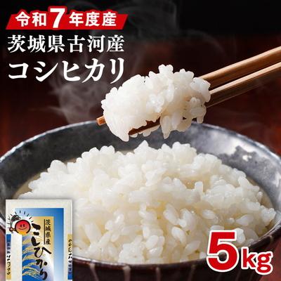 ふるさと納税 古河市 令和7年産 古河産コシヒカリ(5kg) | 米 こめ コメ ※2025年9月〜発送 _DP07