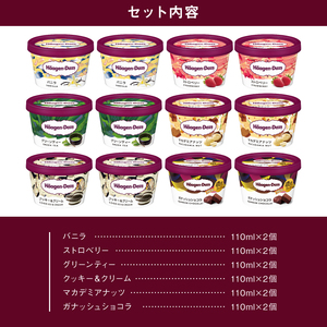 ハーゲンダッツ『ミニカップ12個セット（定番フレーバー＆新商品 ガナッシュショコラ）』アイスクリーム アイス スイーツ デザート_H0026-062