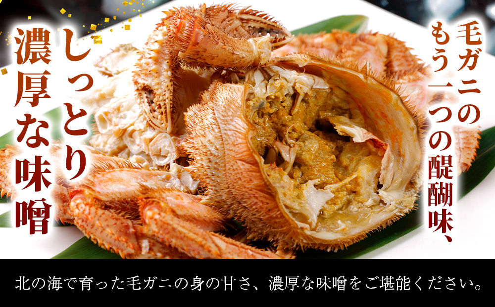 【大サイズ】北海道産 冷凍ボイル毛ガニ (700g-800g前後) 1尾  蟹 かに カニ 毛ガニ AS192