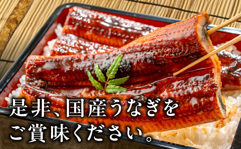国産うなぎ 6尾 900g以上 うなぎコロッケ 2個付き【訳あり サイズ不揃い えびす鰻 うなぎ ウナギ 国産 泉佐野産 蒲焼き かばやき 惣菜 冷凍 うな重 ひつまぶし 惣菜 先行予約】 G1692