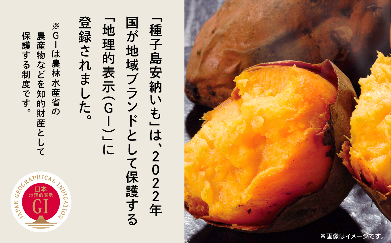 《先行予約》 種子島 安納いも さつまいも 3kg 焼きいも 焼き芋 本場 安納芋 Qさま キューさま さつま芋 甘い ねっとり スイーツ おやつ グルメ お取り寄せ おせち 人気 種子島産 返礼品
