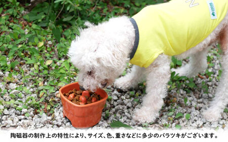 【美濃焼】 陶器製ペット用フードボウル 早食い防止 高台フードボウル 小 クリームレモン pet109 瑞浪市 / ながしまプランニングオフィス エサ入れ 餌皿 犬 猫[AZBM011]