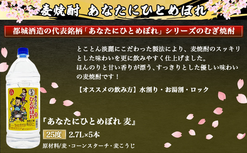 【都城酒造】あなたにひとめぼれ 麦(25度)2.7L×5本 ≪みやこんじょ特急便≫_AF-0790_イメージ2