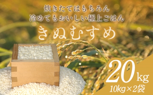 
                  C-1211 きぬむすめ 20kg
                
