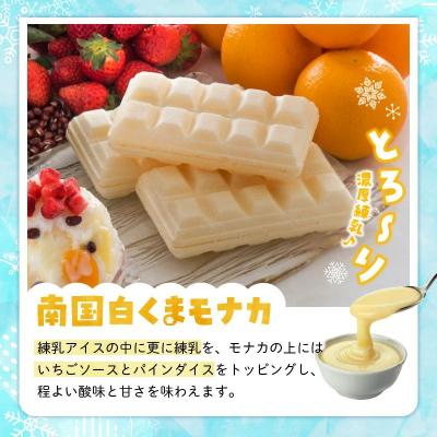 ふるさと納税 南九州市 鹿児島名物南国白くま&モナカ詰合せ |  | 02