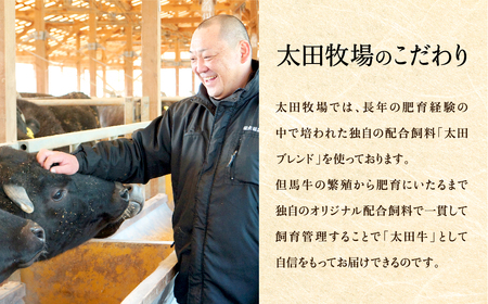 神戸牛 ロースステーキ 500g(250g×2枚) / 牛肉 ステーキ ロース 霜降り ステーキ肉 但馬牛 黒毛和牛 和牛 国産牛 赤身 ステーキ 牛 肉 焼肉 太田牧場 太田牛 神戸ビーフ TYST