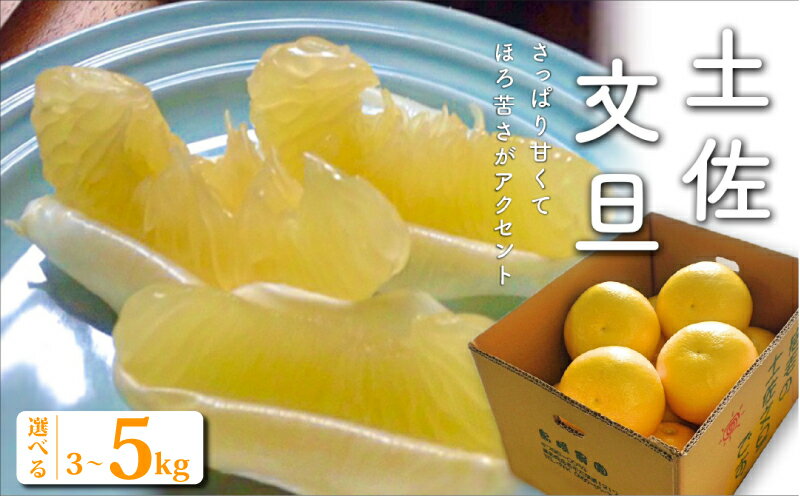 【ふるさと納税】土佐文旦 選べる 3kg 5kg 家庭用 訳あり 文旦 ふるさと 特産品 柑橘 果物 フルーツ 贈答用 ギフト 贈り物 お歳暮 お中元 文旦 ぶんたん ブンタン 柚子 ゆず 高知県産 産地直送 旬 冬 甘い 酸味 さっぱり 美味しい 新鮮 果汁 ビタミンC 健康 宿毛市 8000円