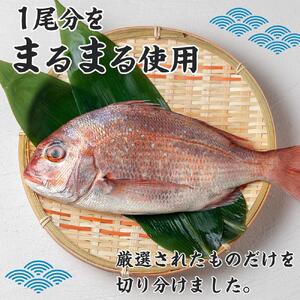鯛しゃぶ セット（3～4人前） 天然鳴門鯛 |しゃぶしゃぶ 鍋 鯛 海鮮鍋 冷蔵 簡単調理 徳島
