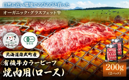 
                  雄武産有機牛カラービーフ 焼肉用（ロース）200ｇｘ2Ｐ | 牛肉 有機牛 オーガニック グラスフェッド カラービーフ 有機JAS認定 焼き肉用 赤身が多い 旨み 牧草 放牧 安心 安全 脂肪控えめ 低脂肪 自然 オホーツク 有機牧草 環境に優しい 美容 健康 放牧牛 雄武町観光協会 菊地牧場 お取り寄せ 北海道 雄武町 雄武【01128】
                