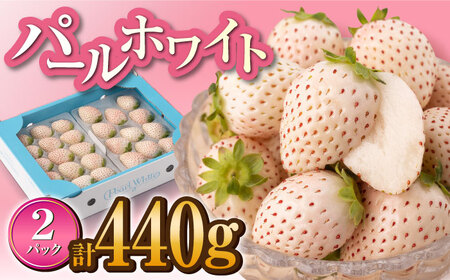 【先行予約】【上品な甘さ！】希少な白いちご「パールホワイト」220g×2p / いちごいちごいちごいちごいちご [IZZ003]