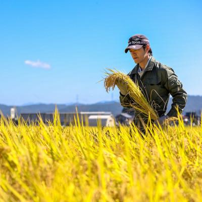 ふるさと納税 十日町市 生産農家直送!生産地・生産者限定魚沼産コシヒカリ「イネノハ」精米(3kg×2袋)【合計6kg】 |  | 02