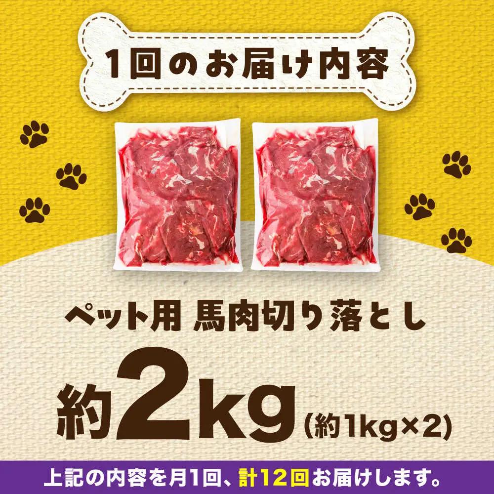 【全12回定期便】国内加工 ペット用 馬肉 切り落とし 約2kg ペットフード ペットフード  BHCY060