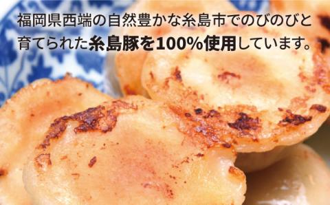 肉汁溢れる！！元祖・糸島豚籠包 食工房たまひろ [ASA003]