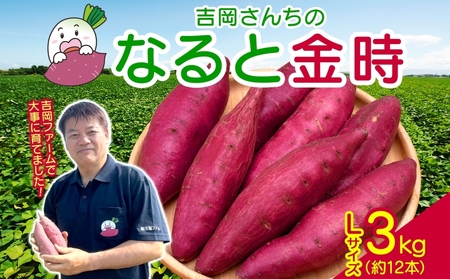 【予約受付中・2026年10月頃より順次発送】「吉岡さんちのなると金時」 Lサイズ 3kg