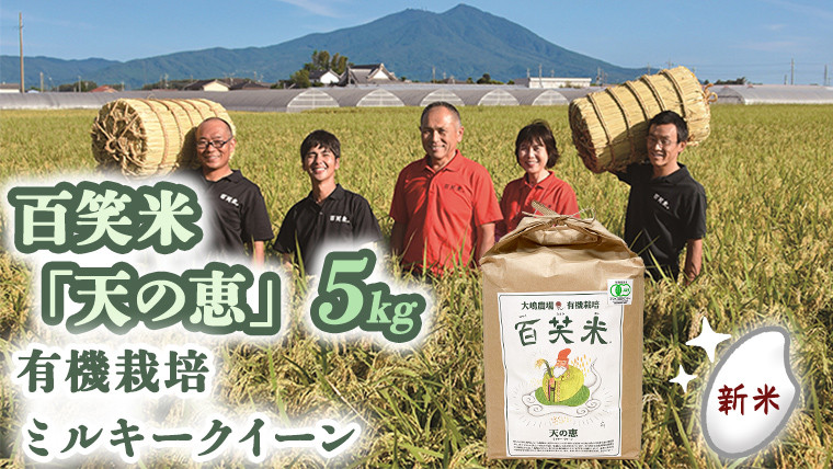 
            精米 百笑米 「 天の恵 」 有機栽培 ミルキークイーン 5kg R7年産 米 コメ 茨城県 単一米 [AC013ci]
          