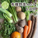 【ふるさと納税】寺岡有機農場の有機野菜セット 6品目 送料無料 産地直送 新鮮 野菜 有機 やさい 生野菜 A020-01