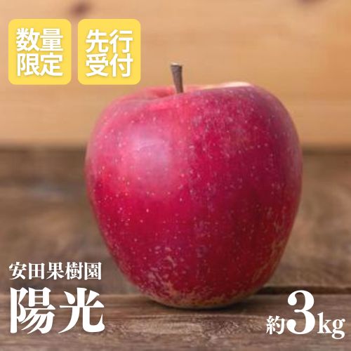 【ふるさと納税】No.2606 りんご　陽光　約3kg【2025年度発送】
