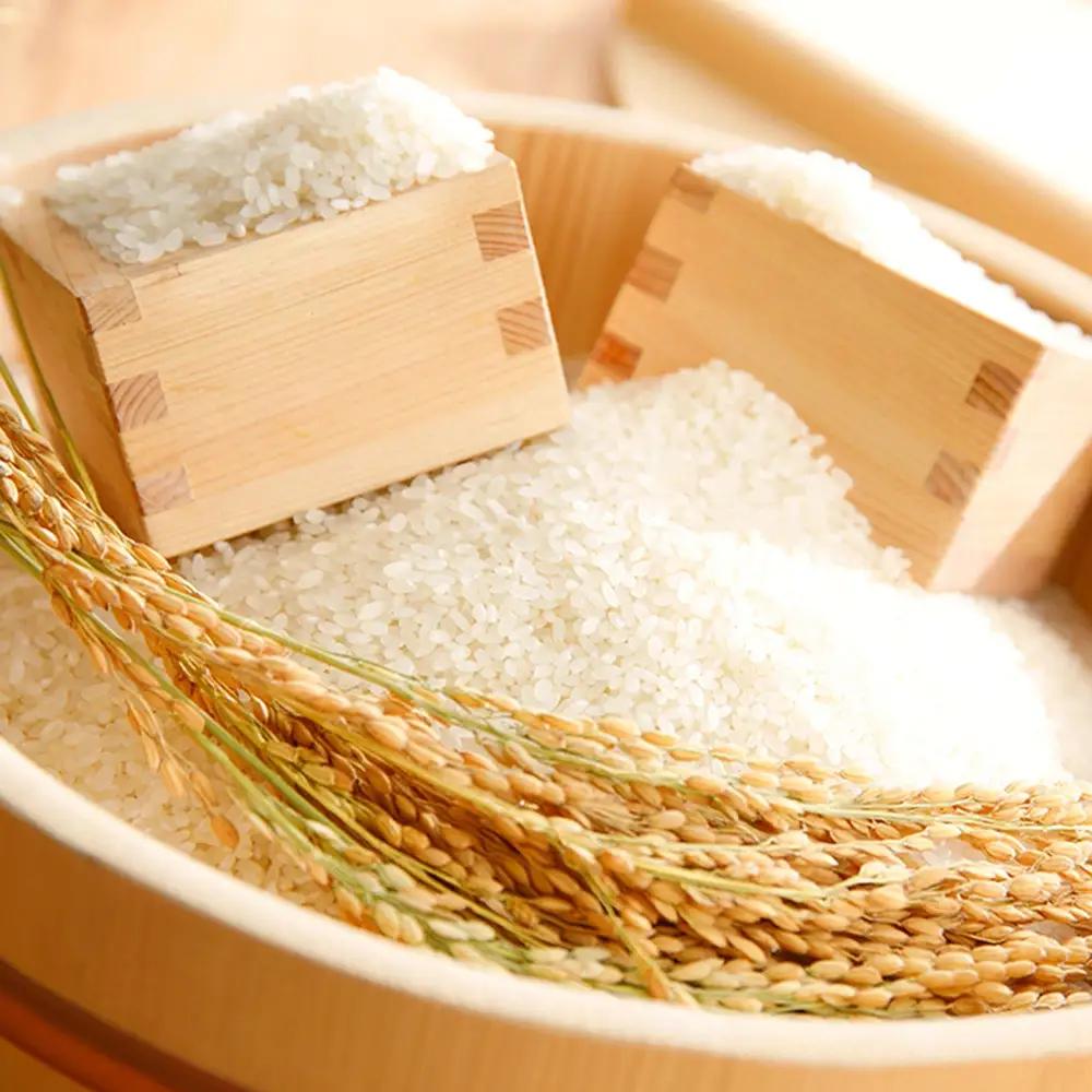 【新米】令和8年産　冷めても美味しいあっさりとした味わい「みずかがみ」白米【10kg（5kg×2袋）】【C015W2】近江米