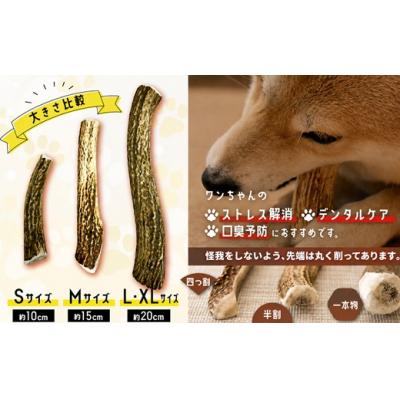 ふるさと納税 浦河町 犬用「鹿の角」XLサイズ×2本[53-1636] |  | 01