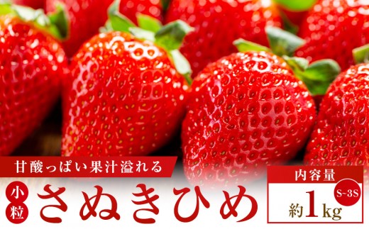 
                  【期間限定】可愛い丸々小粒さぬきひめいちご　約1kg
                
