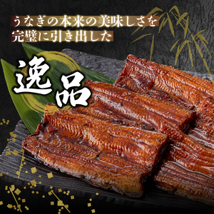 a10-1243　丸忠うなぎ食事券3000円　事前予約不要
