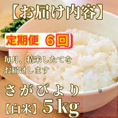ふるさと納税 みやき町 【毎月定期便】さがびより白米5kg【五つ星お米マイスター厳選!】_SS1047全6回 |  | 02