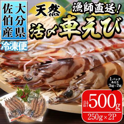 ふるさと納税 佐伯市 漁師直送! 天然活〆車えび (計500g・250g×2P) 大分県産