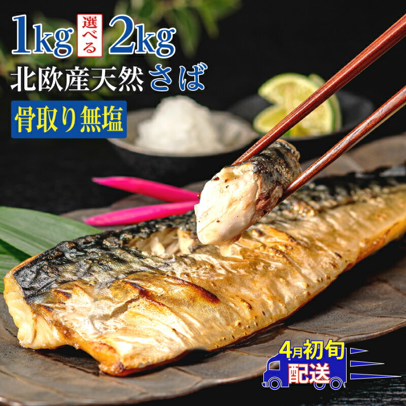 【ふるさと納税】 訳あり 骨取り 無塩さば 約1.0kg・約2.0kg 鯖 さば 無塩 骨なし 骨抜き 切身 切り身 冷凍 食品 小分け 大容量 人気 魚 魚介 魚貝 海鮮 惣菜 贈答 ギフト お取り寄せ 送料無料 不揃い 規格外 ふるさと納税 ふるさと納税鯖 千葉県 銚子市 飯田商店 iidachoshi