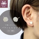 【ふるさと納税】 ピアス ジュエリー アクセサリー レディース K18 白蝶貝 バラシェル ギフト プレゼント ジュエリーケース付 保証書付 k118-012