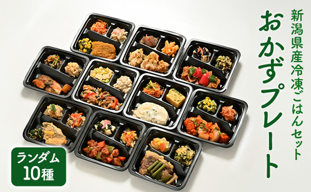 【ランダム10種】いろどりおかずプレート 冷凍ごはんセット 非常食 おかずプレート