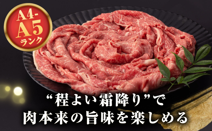 【A4～A5ランク】長崎和牛 モモスライス 400g（しゃぶしゃぶ・すき焼き用）《壱岐市》【野中精肉店】 牛 牛肉 和牛 国産 長崎和牛 霜降り しゃぶしゃぶ すき焼き すき焼 ギフト 贈答用 冷凍配