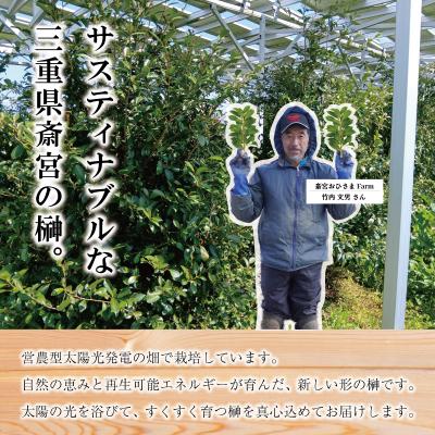 ふるさと納税 明和町 神棚用 榊 1対 (2束) 約25cm 神棚 さかき お供え |  | 03