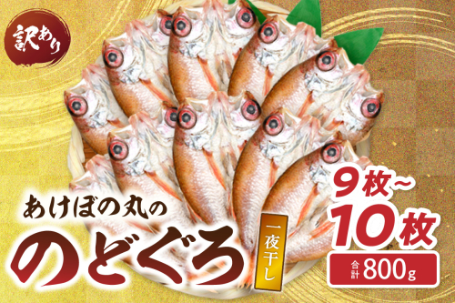 【訳あり数量限定】あけぼの丸ののどぐろ一夜干し800ｇ（9～10枚）魚介 のどぐろ 一夜干し 訳あり 【146_2018】