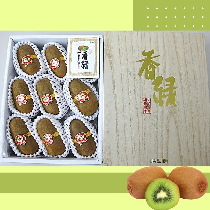 香緑(キウイフルーツ)1.2kg 8~10個 化粧箱入り【予約受付中!令和7年11月中旬頃より発送!】【A-111】