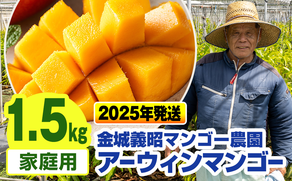 【2026年発送】金城義昭マンゴー農園　アーウィンマンゴー家庭用1.5kg