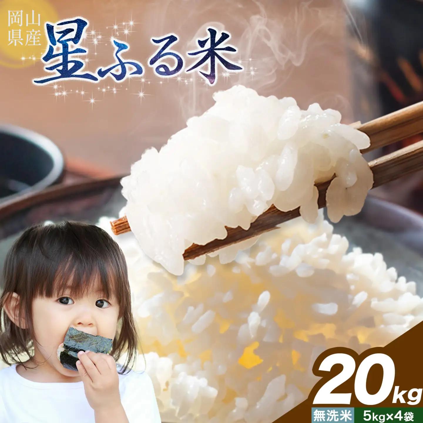 無洗米 星ふる米 20kg 無洗  m