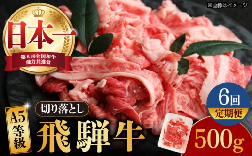 【6回定期便】【飛騨牛】A5等級 切り落とし 500g × 6回 (計3kg) 和牛 ブランド牛 国産 牛肉 多治見市 / 渡辺精肉店 [TAZ013]