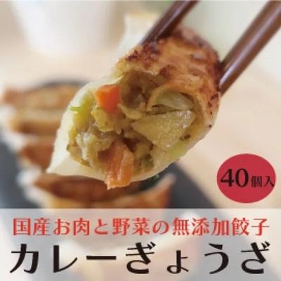 ふるさと納税 三原市 paoの無添加餃子「カレーぎょうざ」[058-006]