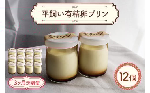 環の花 平飼い有精卵プリン 12個 3ヶ月定期便 スイーツ お菓子 濃厚 新鮮 国産 ぷりん 冷蔵 おやつ デザート たまご 贈り物 グルメ プレゼント 洋菓子 プリン スイーツギフト 詰め合わせ 誕生日 内祝い 定期便 【環の花】【ho1395】