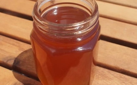 【感謝を込めて価格改定】 2年間熟成！ 希少な日本ミツバチ完熟蜂蜜 600g×2個 セット 【 数量限定 はちみつ ハチミツ 岩手県 陸前高田市 】