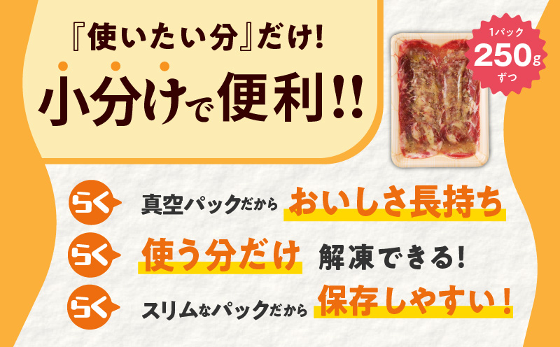 ねぎ塩 牛たん（成型）合計 1kg 小分け 250g×4【牛タン 牛肉 焼肉用 薄切り 訳あり サイズ不揃い】 010B1529