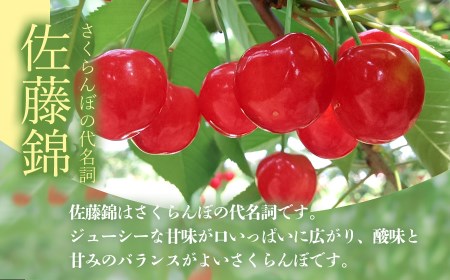 【令和8年産先行予約】佐藤錦 1kg 2L～Lサイズ 混合 バラ詰め 小林農園 さくらん坊