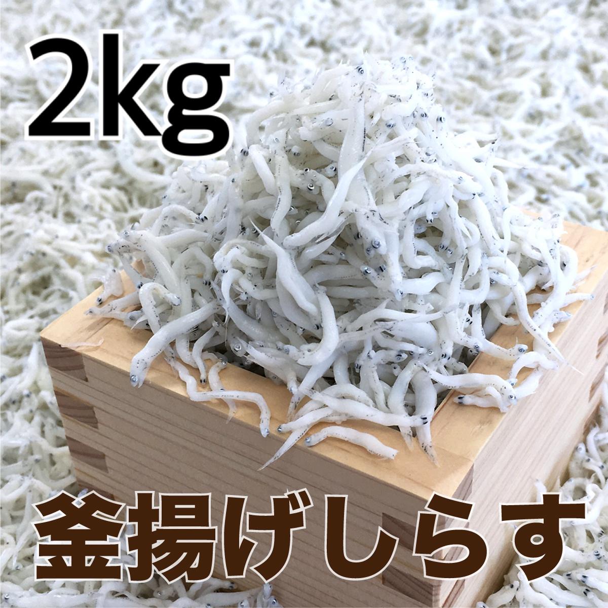 【ふるさと納税】釜揚げしらす2kg［DN4］ | 魚　お魚　さかな　食品　人気　おすすめ　送料無料